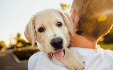 5 måter du kan spare penger på hundeutstyr